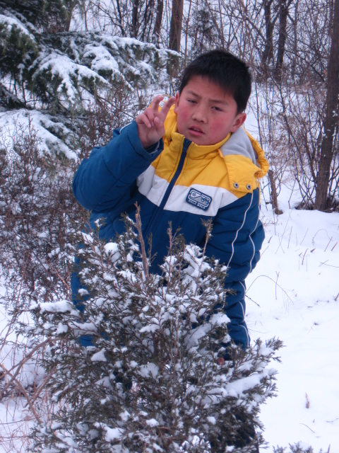 雪后风情 摄影 LYFBOUY