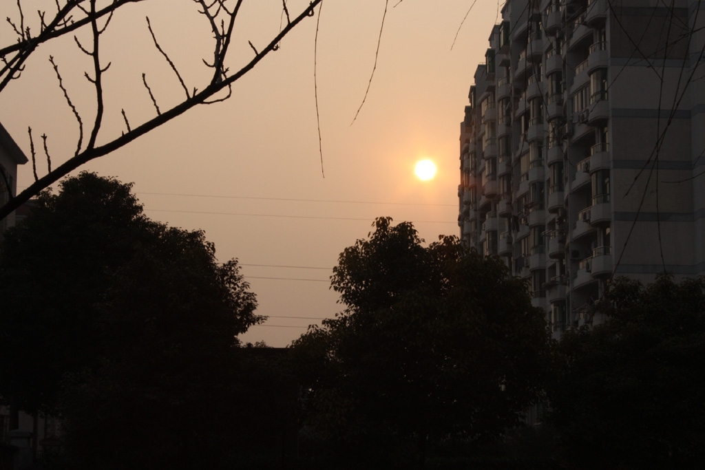 夕阳西下 摄影 卫曼