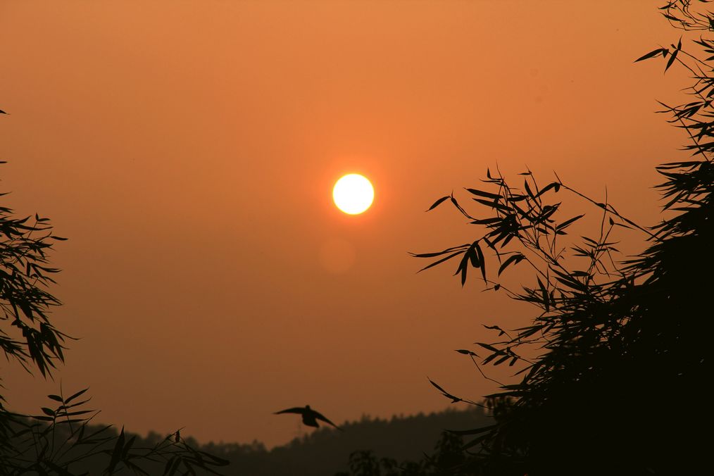 夕阳冕影 摄影 郑大山人