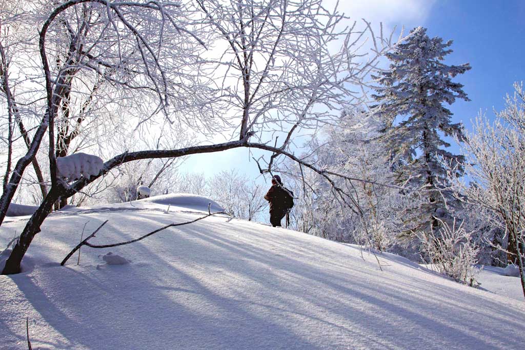 雪景 摄影 星湖