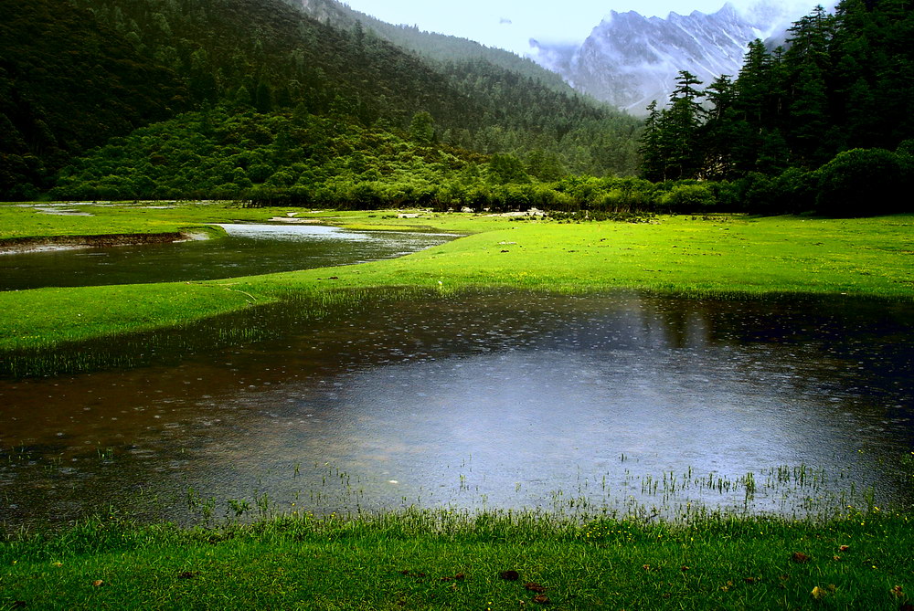 雨中亚丁 摄影 水仙