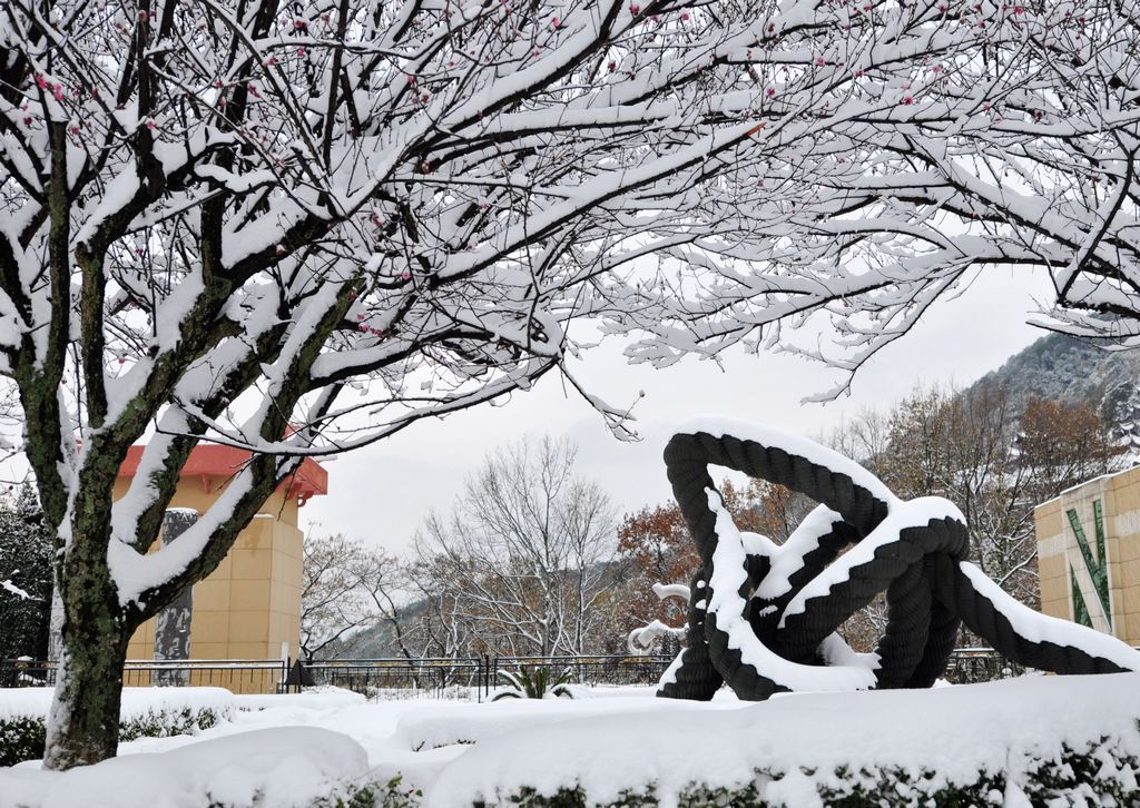 西昌下雪了之二  雪冻的索链 摄影 大山风