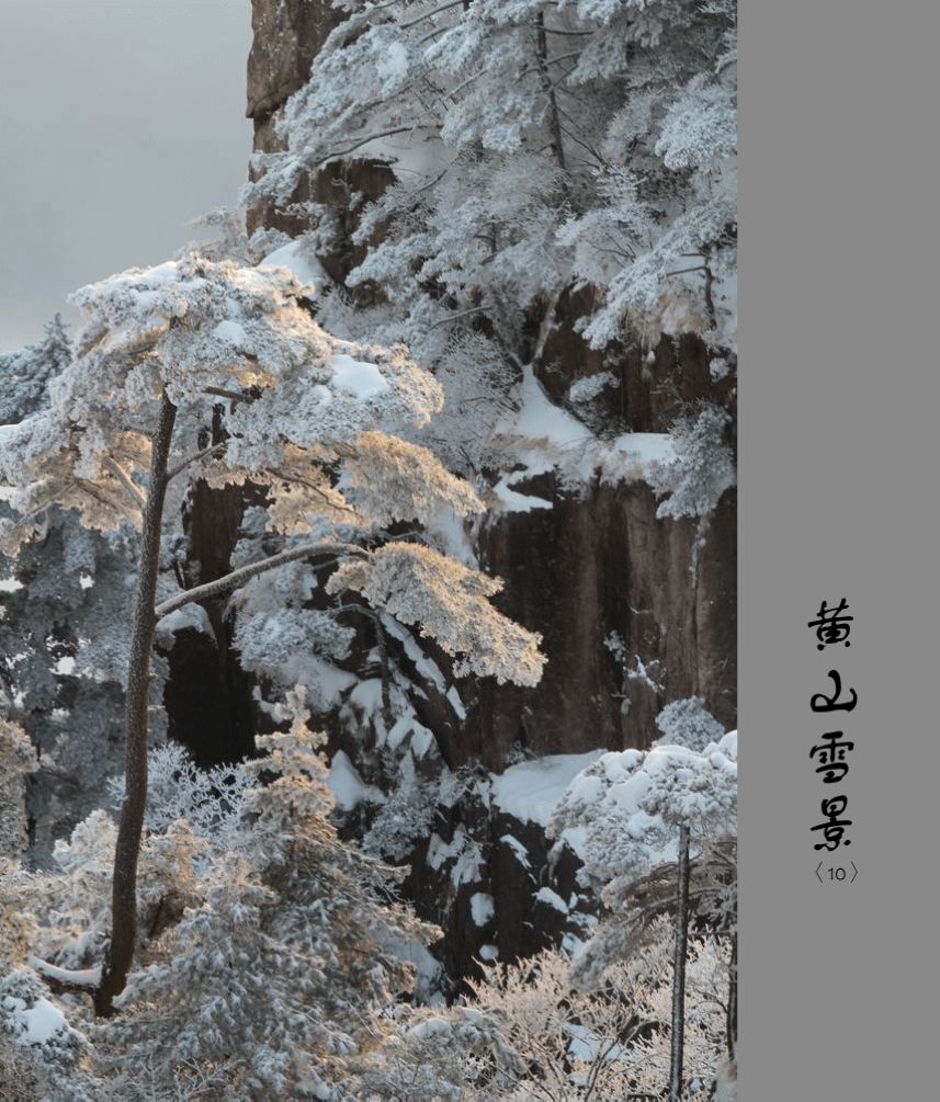 黄山雪景〈10〉2011〈028〉 摄影 季雨飞扬