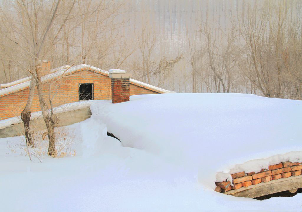 瑞雪乘风袭寒舍，雪乡美景瞬间存！ 摄影 休闲摄猎