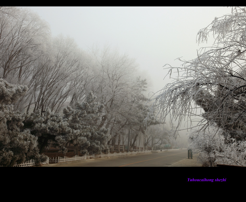 与春相约—雾凇春景（一） 摄影 雨后彩虹1127