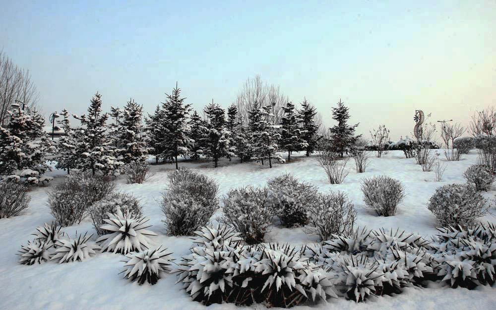 雪景-5 摄影 兰生空谷