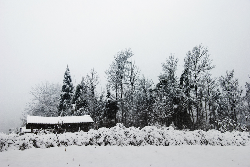 雪景 摄影 MSDG