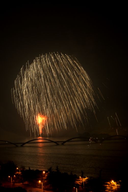 吹落星如雨 摄影 一树阳光