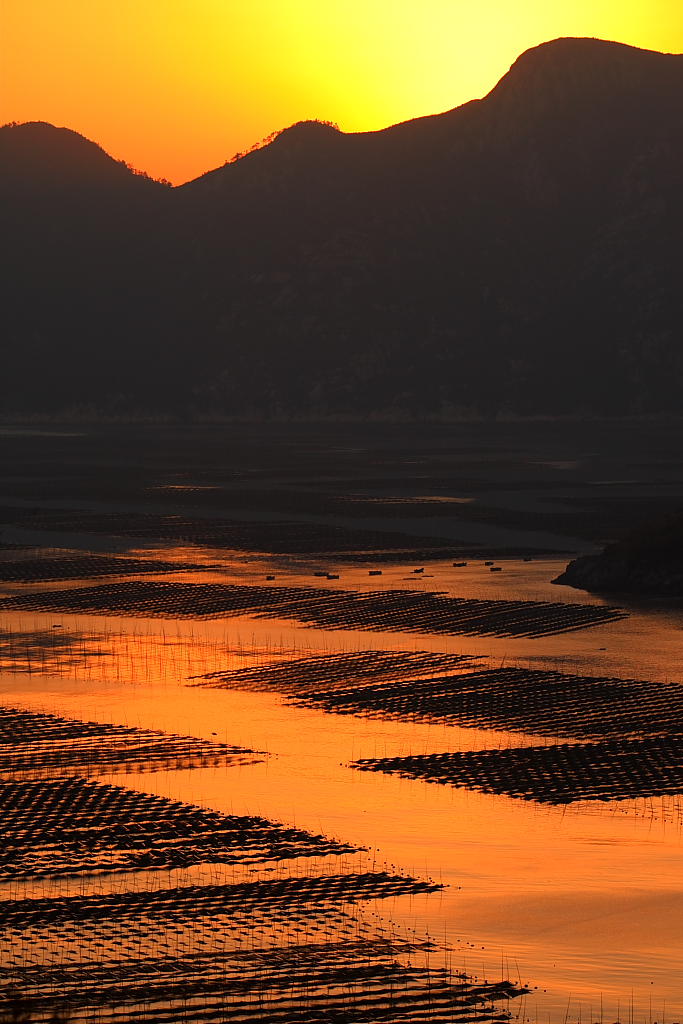 金色霞浦 摄影 流云飞