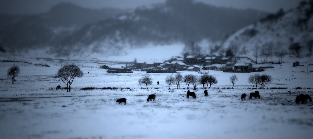 雪中关山牧场 摄影 kandaoer