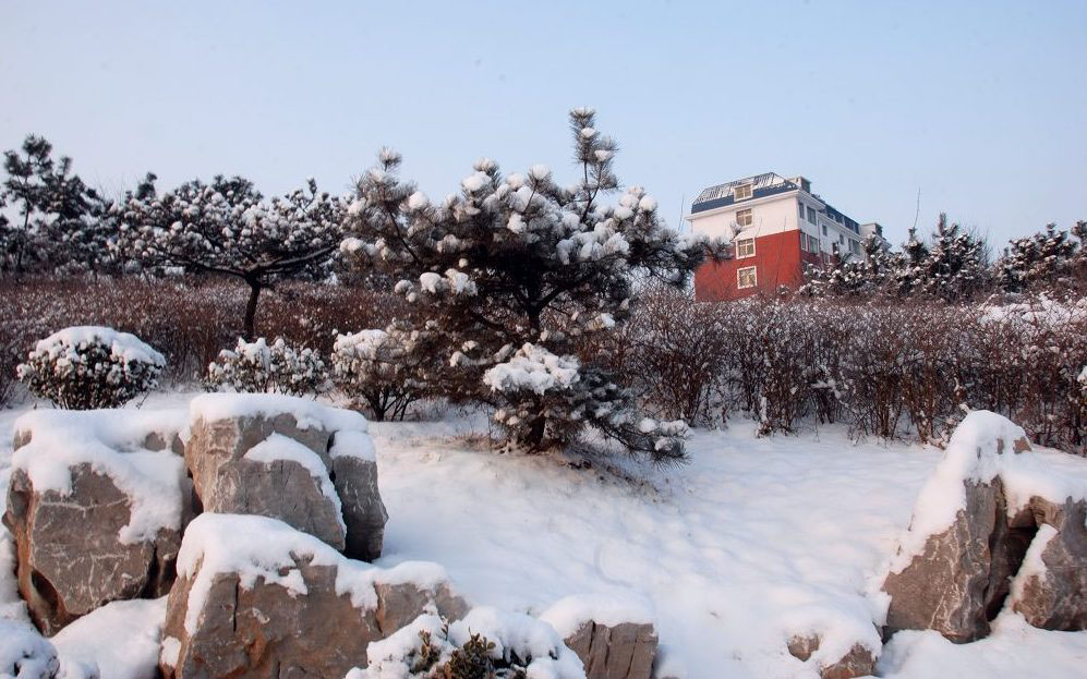 雪景-8 摄影 兰生空谷