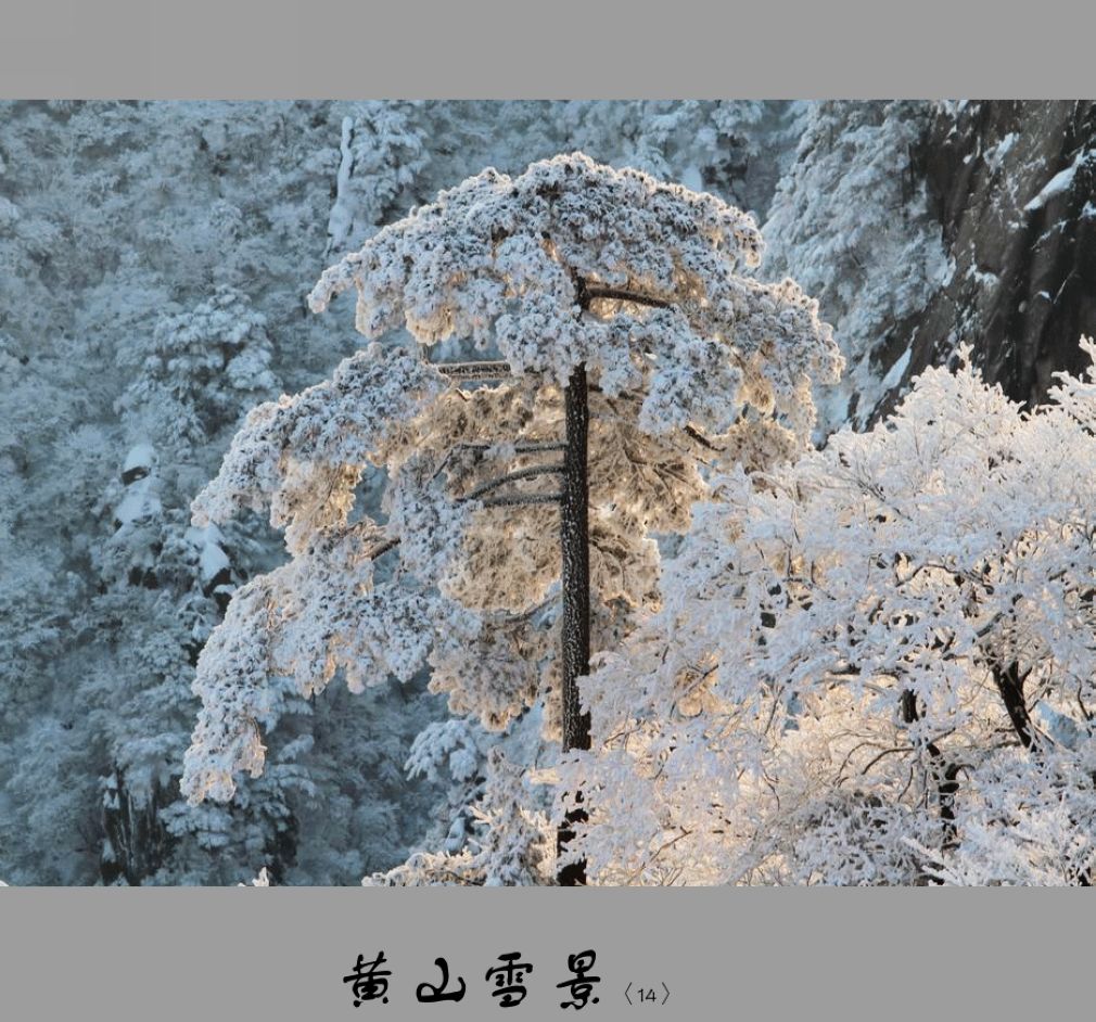 黄山雪景〈14〉2011〈030〉 摄影 季雨飞扬