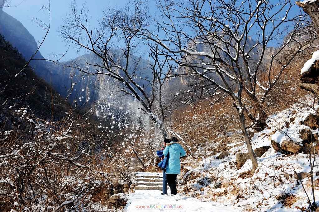 雪中即景 摄影 政务