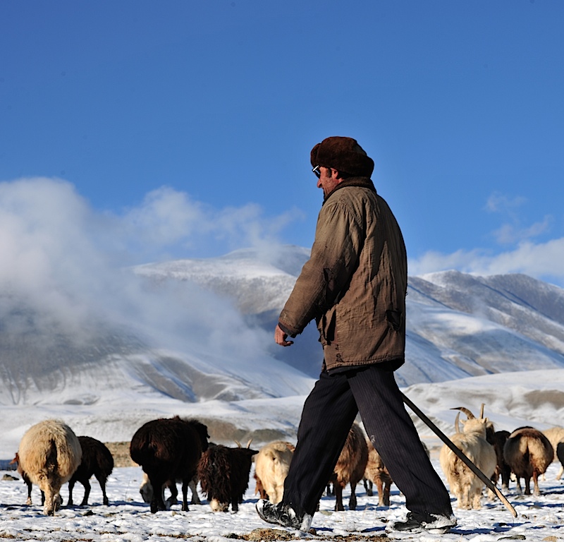 魅力帕米尔 摄影 雪山雄鹰