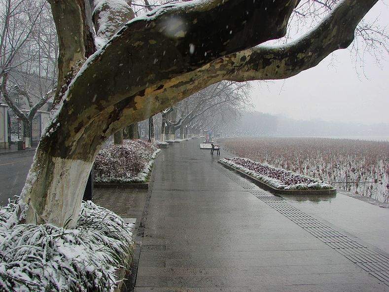 山色空蒙雪亦奇 摄影 金玉满堂