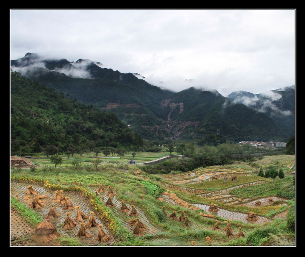 雁荡山 摄影 胡主任