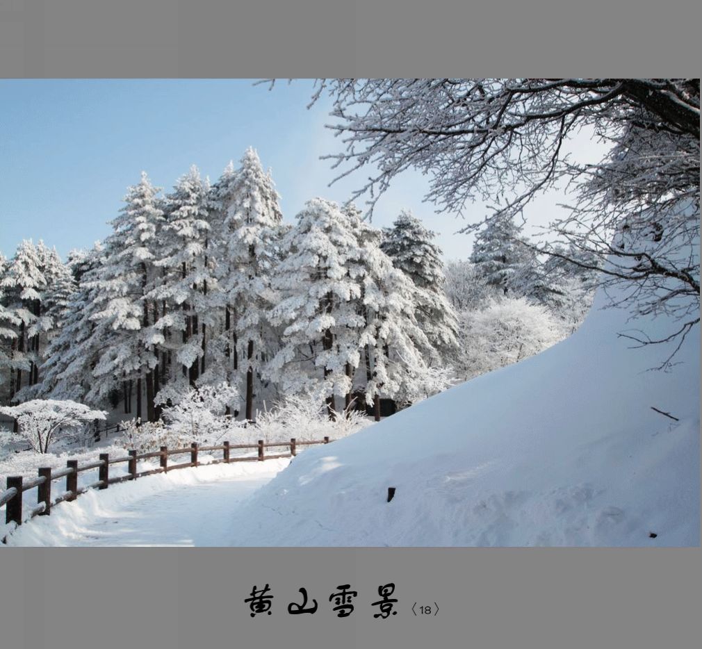 黄山雪景〈18〉2011〈032〉 摄影 季雨飞扬