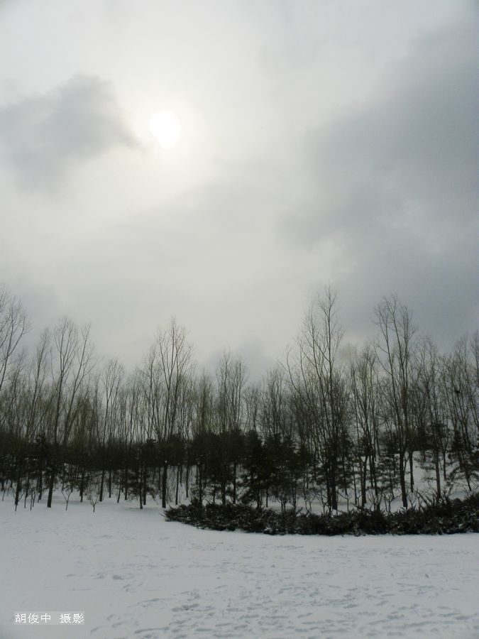 雪中游 摄影 胡俊中