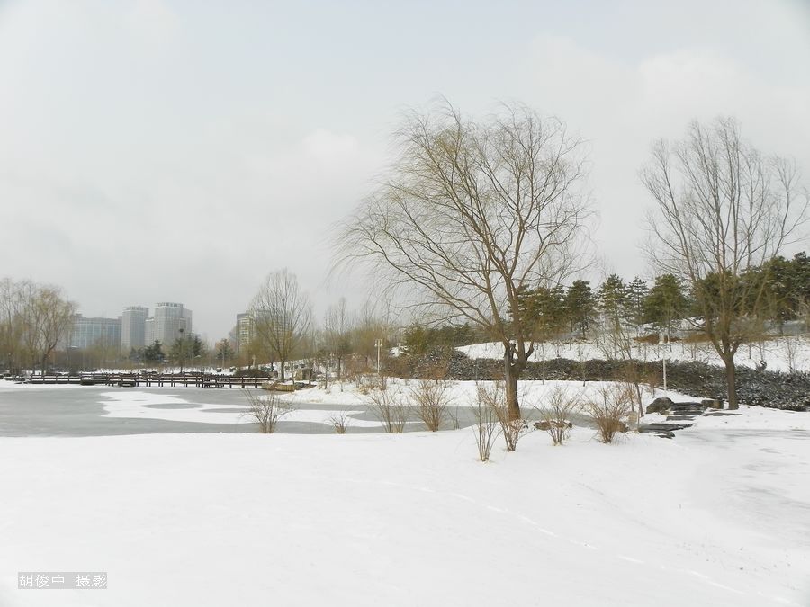 雪 摄影 胡俊中