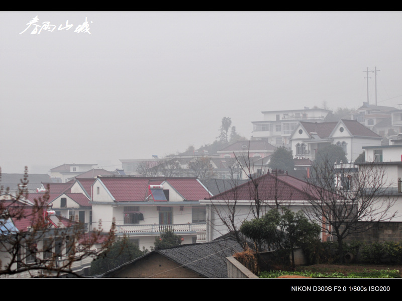 春雨山城 摄影 紫杜鹃