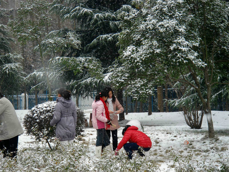 屋前雪景 摄影 仙人树