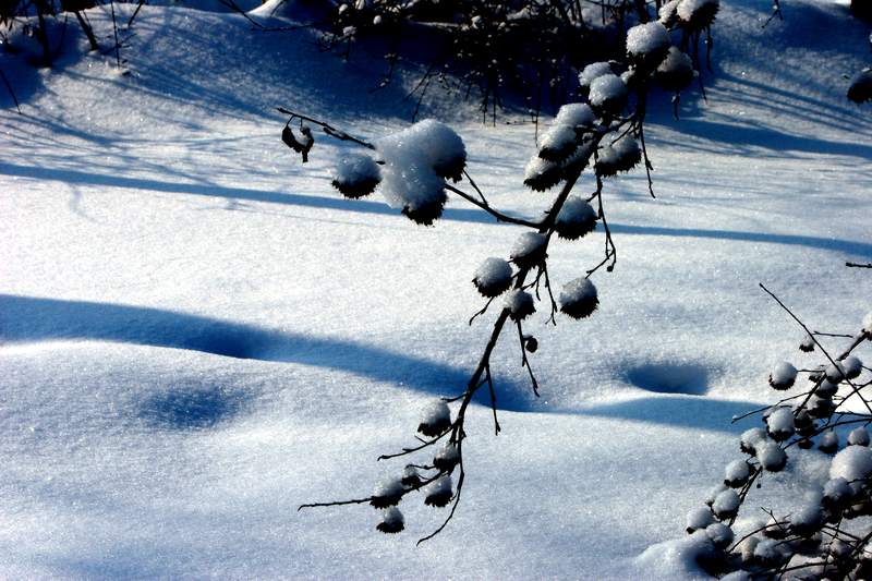 瑞雪兆丰年-2 摄影 久月久