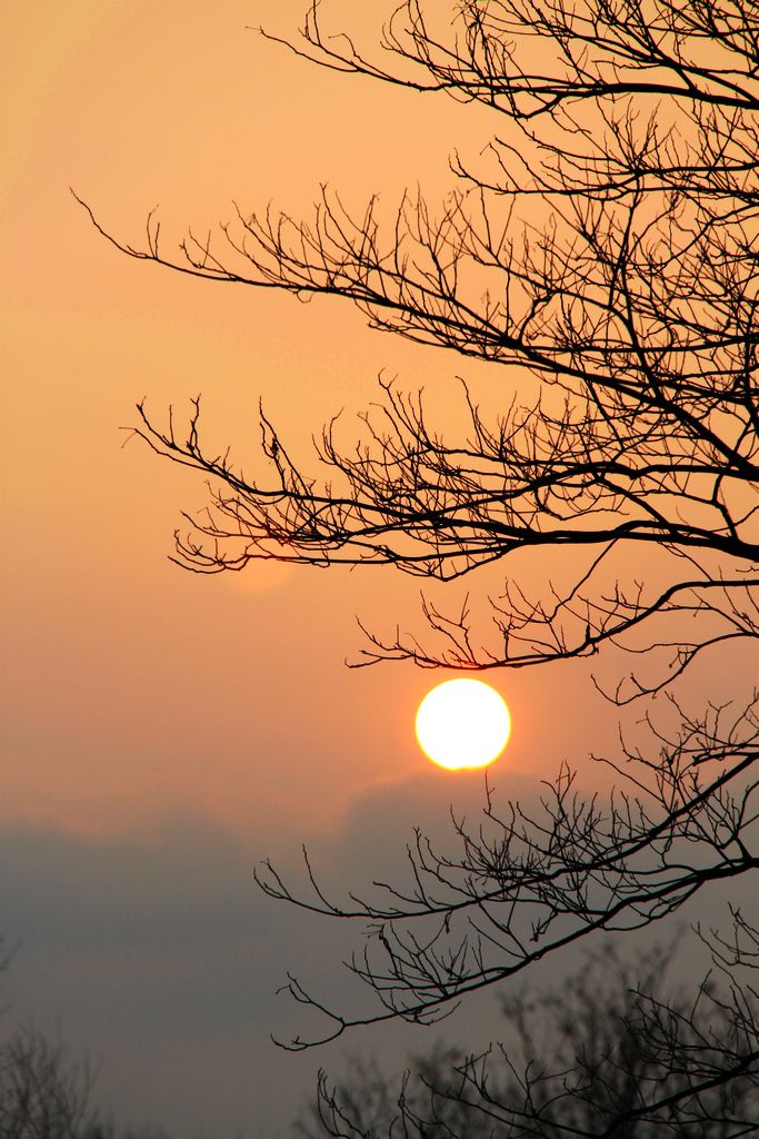 夕阳将落 摄影 狼月