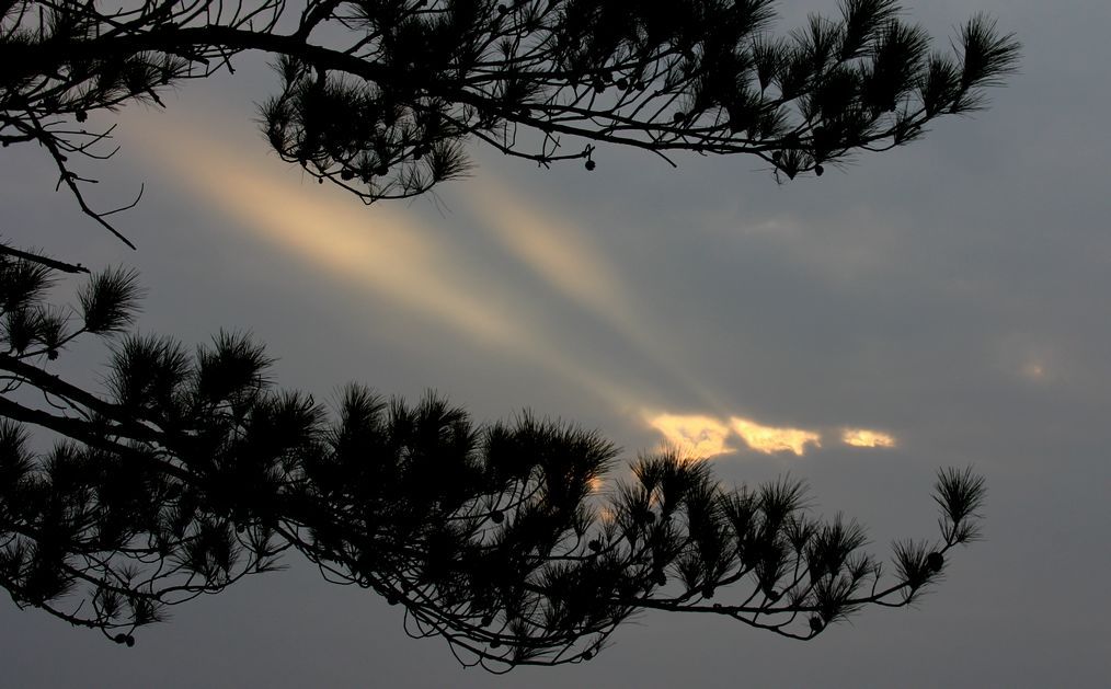 霞光 摄影 郑大山人