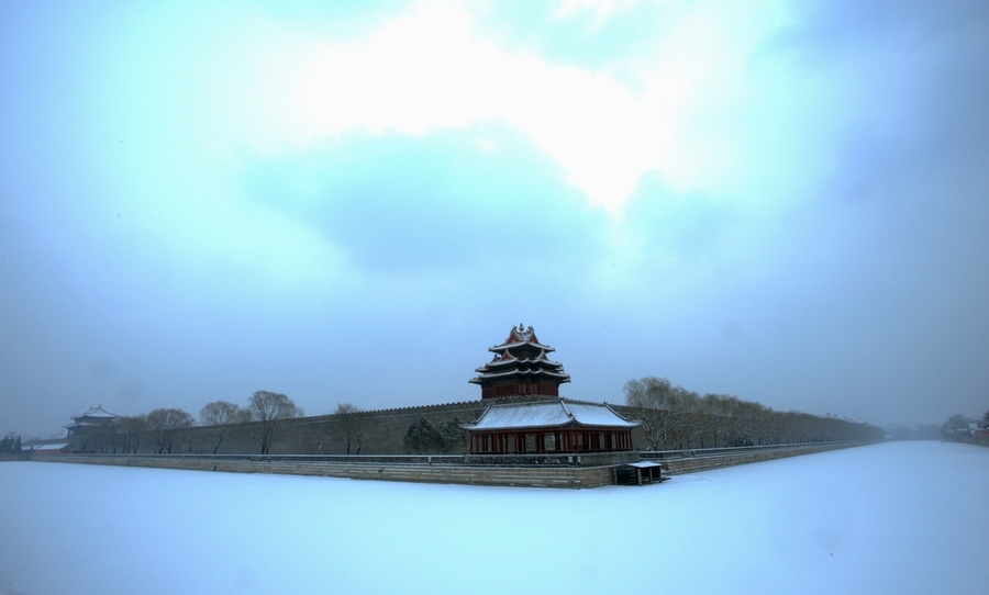 雪中的庄严 摄影 飞翔的雄猫