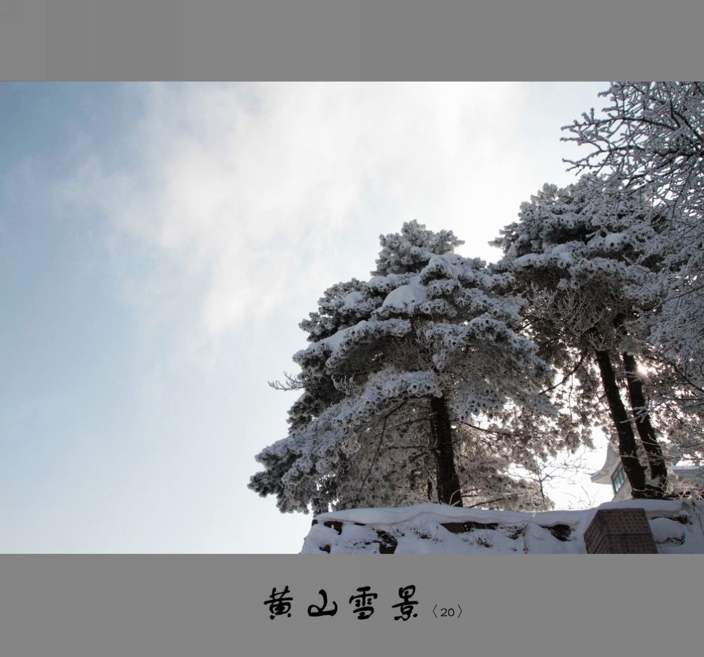 黄山雪景〈20〉2011〈33〉 摄影 季雨飞扬