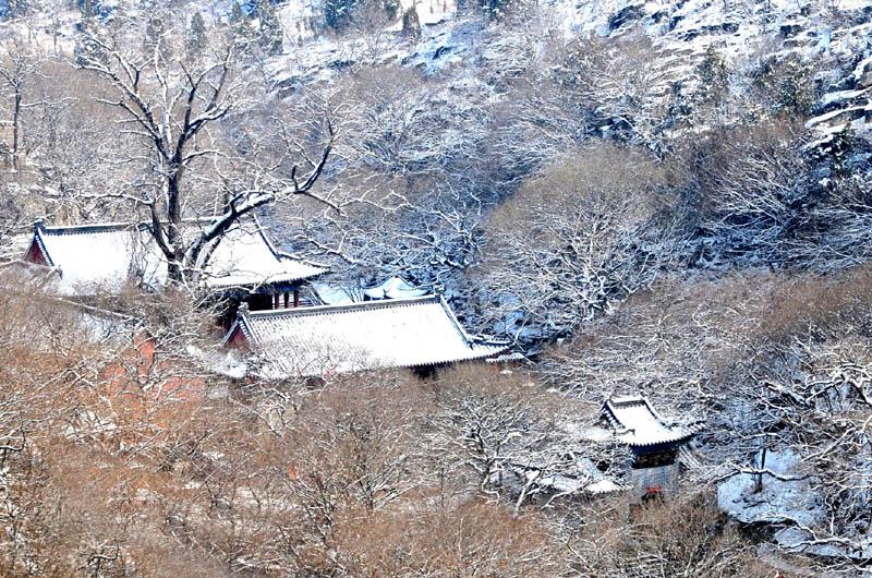 雪寺 摄影 方先生