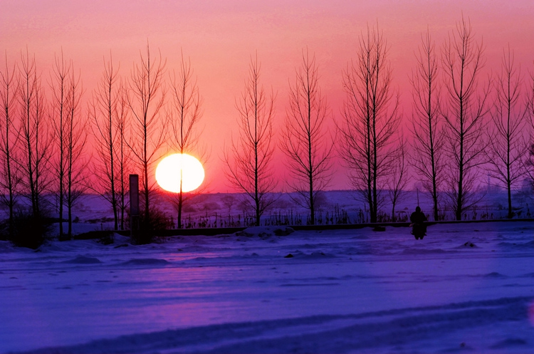 夕阳映雪 摄影 晗晗