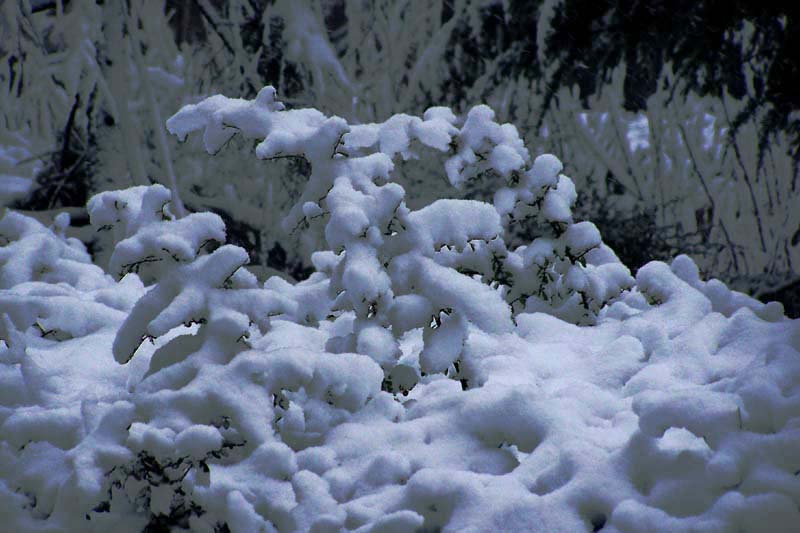 雪浪 摄影 红岩上