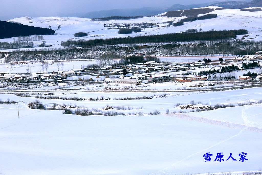 雪原人家 摄影 山村樵夫