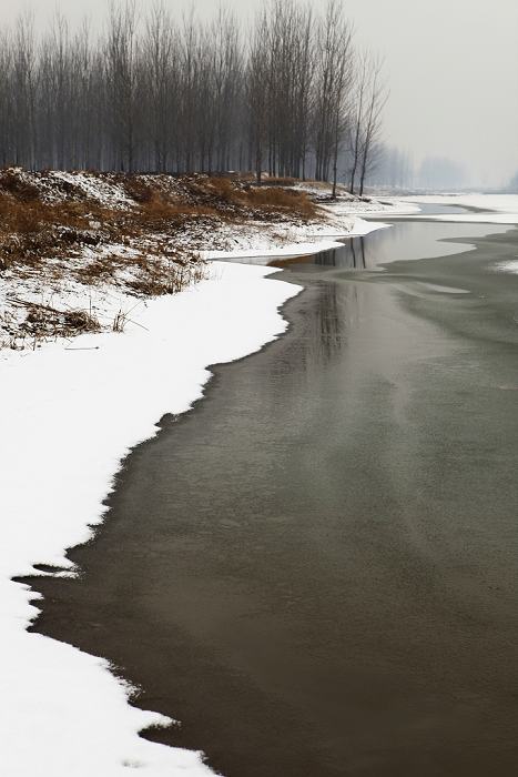 春雪 摄影 桂玉斋