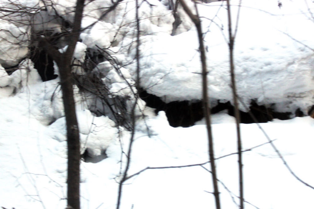 雪 摄影 山村樵夫