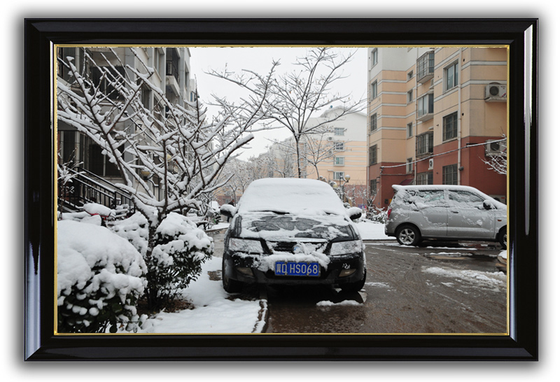 春日雨雪2 摄影 舞光拾色