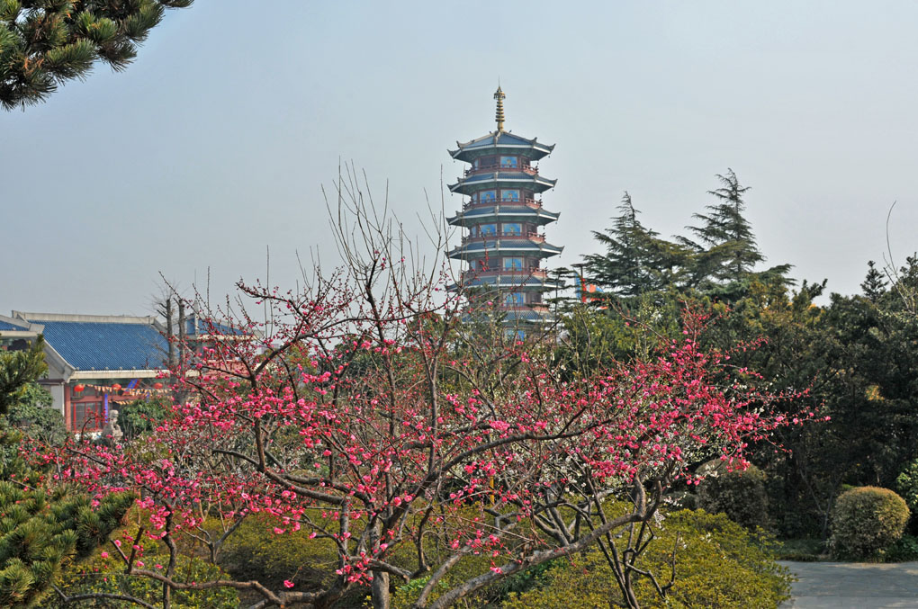 七宝教寺 摄影 老牛啦