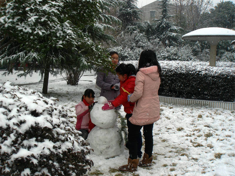 屋前雪景 摄影 仙人树