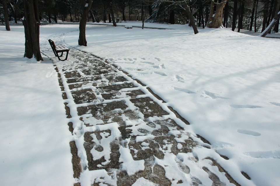 雪景（1） 摄影 瞬间世界