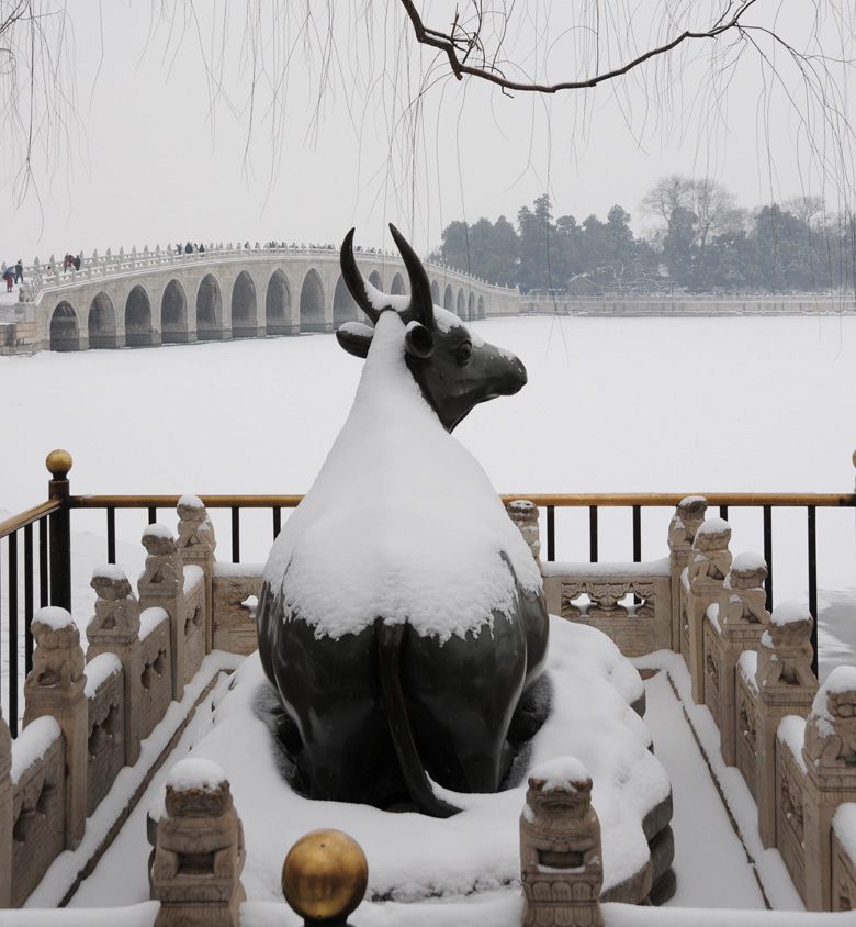 初雪颐和园 摄影 银驹踏浪