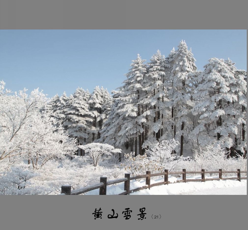 黄山雪景〈21〉2011〈034〉 摄影 季雨飞扬