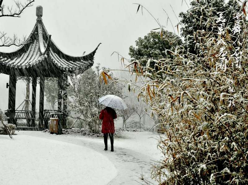 雪舞人不闲，美景入画图。 摄影 山旭