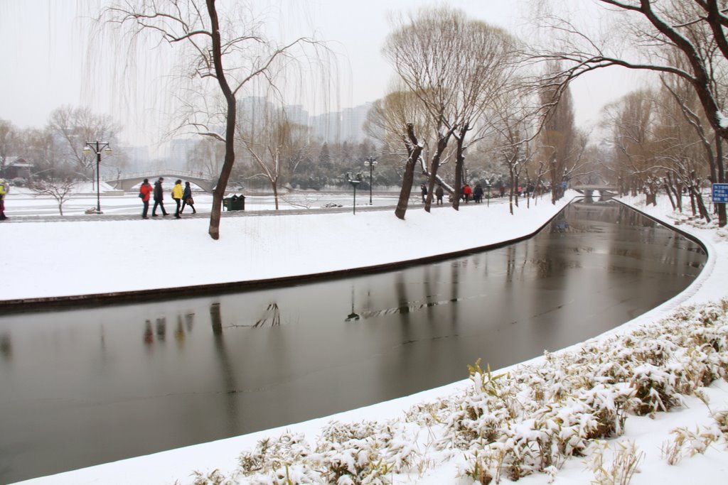 紫竹院初春雪景 [3 ] 摄影 TT1948