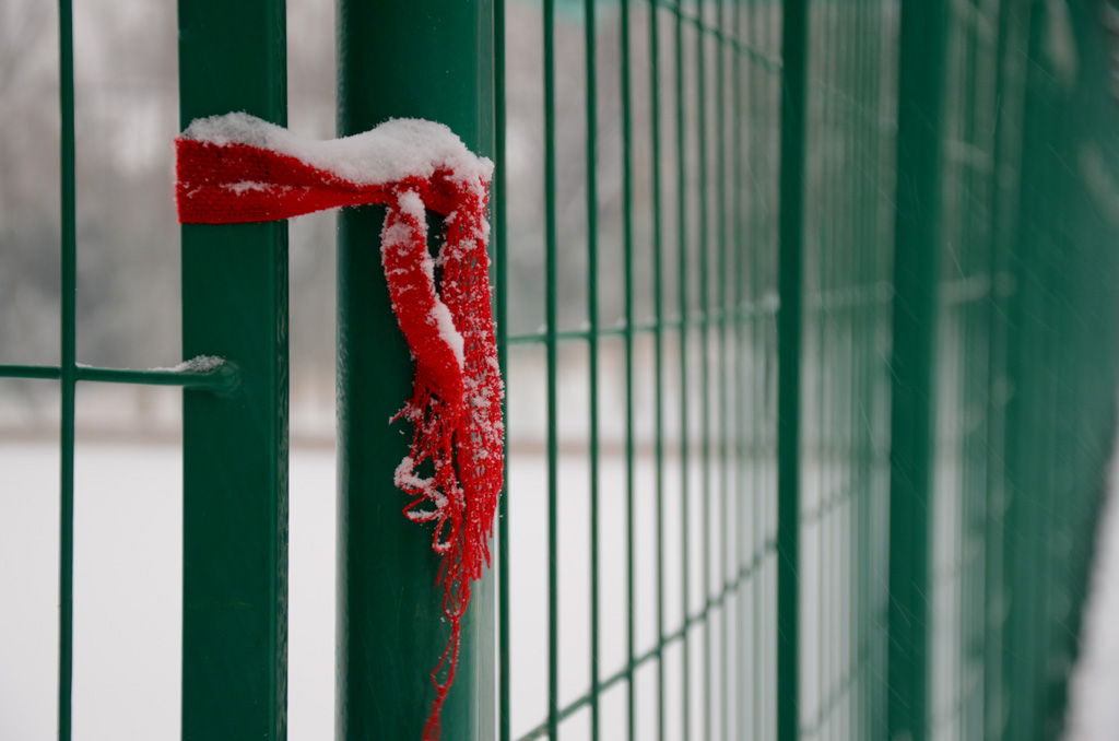 雪后 摄影 趵突泉边