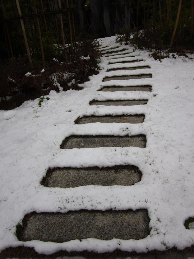 初雪 摄影 郭洋