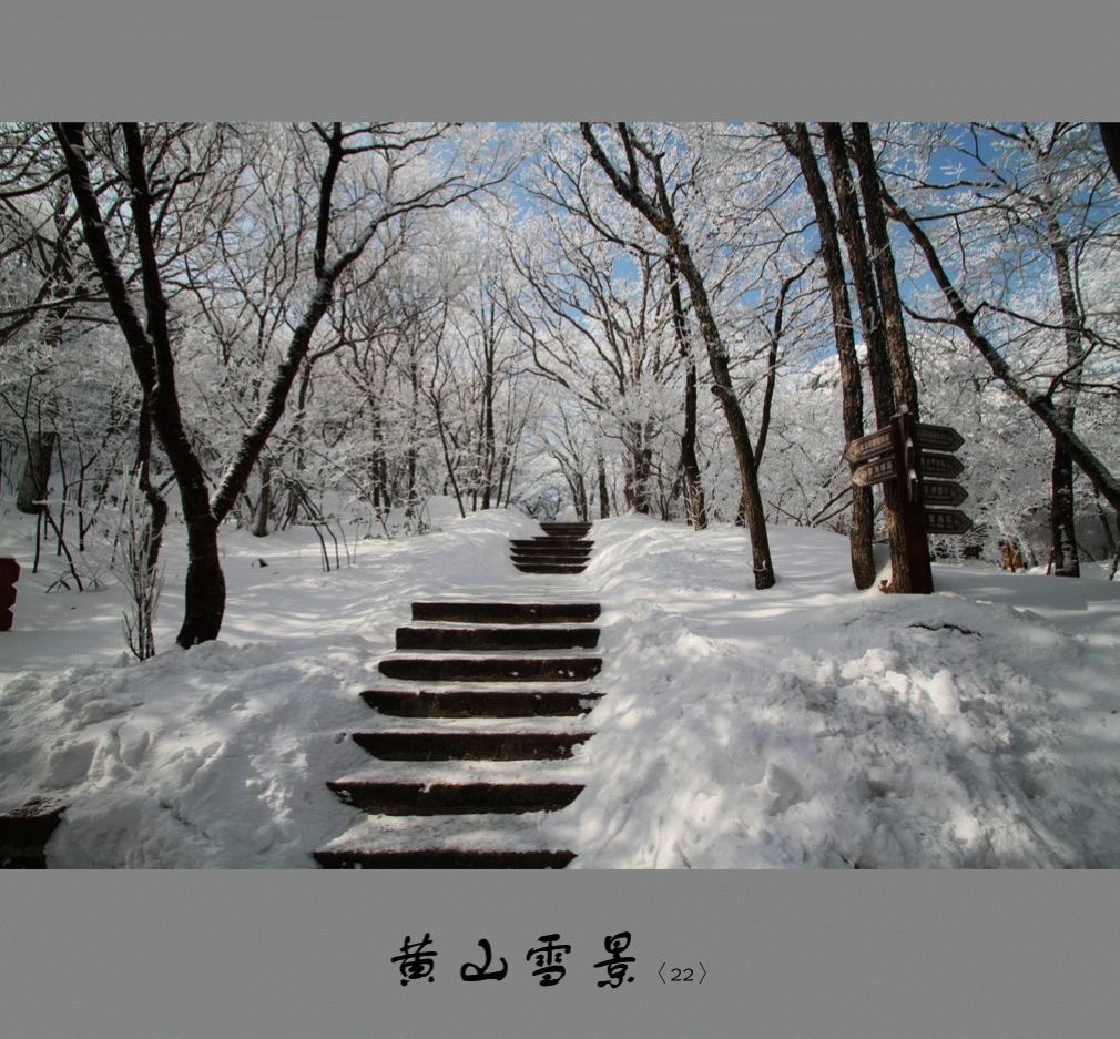 黄山雪景〈22〉2011〈035〉 摄影 季雨飞扬