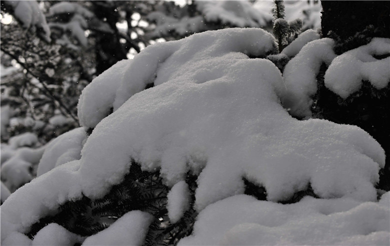 雪 摄影 知行合二