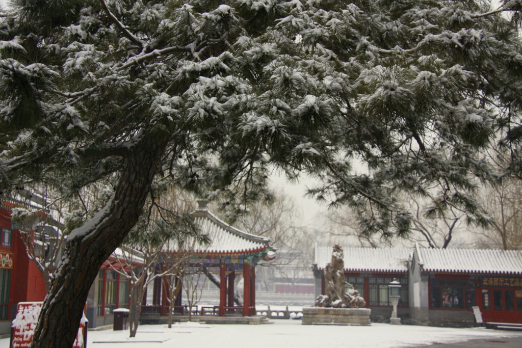 北海初春雪景 [ 1 ] 摄影 TT1948