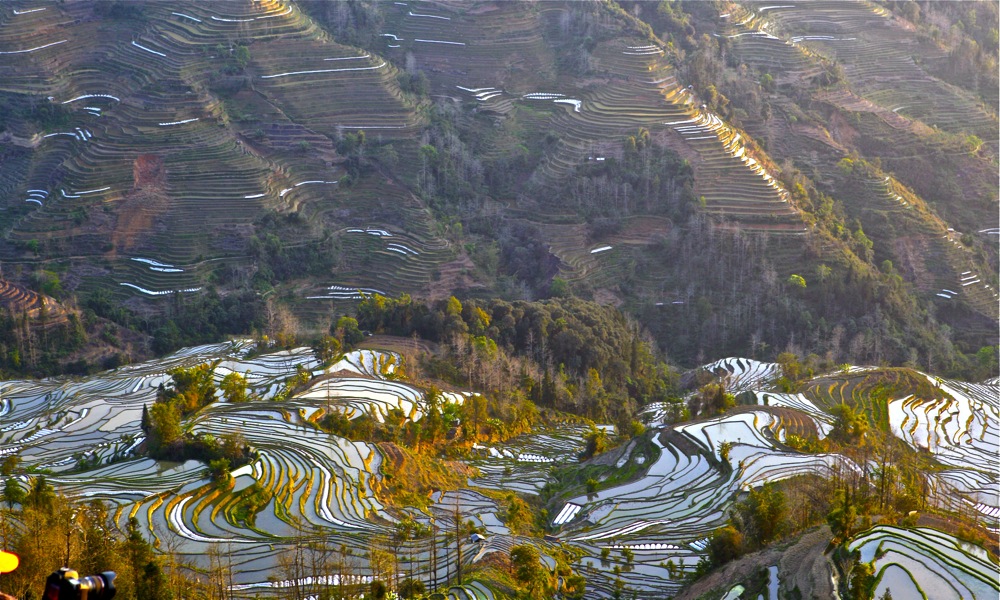 哈尼梯田通天际 摄影 xucheng